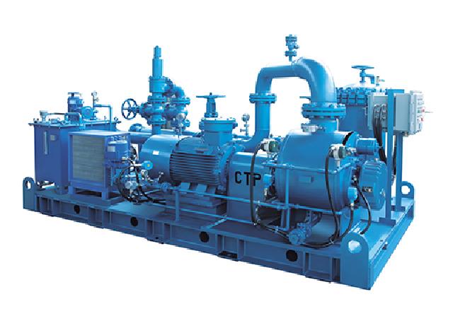 Multiphase twin screw pumps