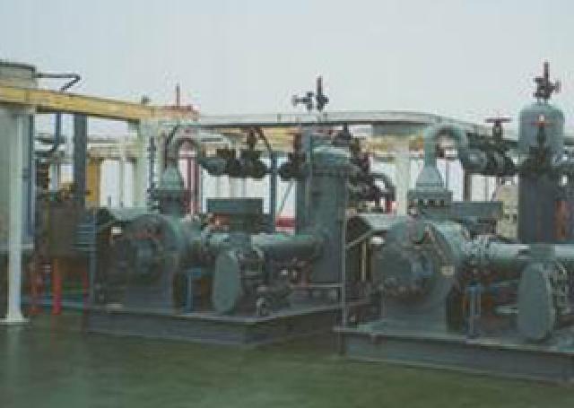 Shengli Oilfield Multiphase system