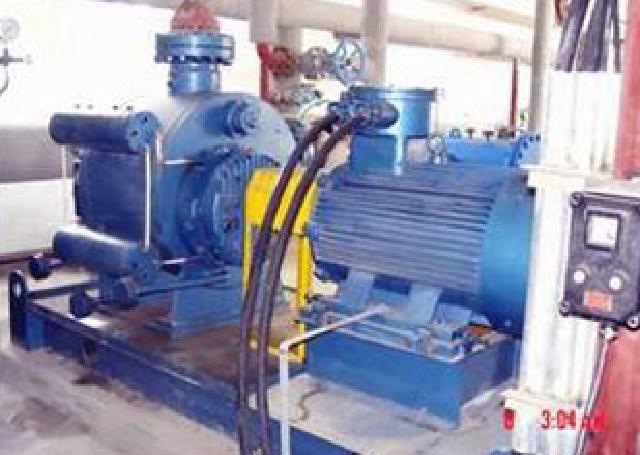 Daqing Oilfield Multiphase pump syestem